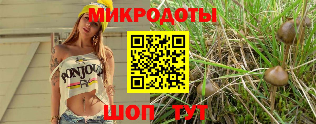 Псилоцибиновые грибы Psilocybine cubensis Дзержинск