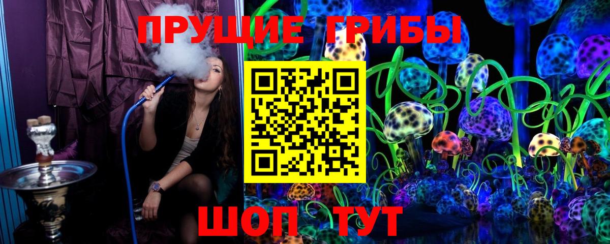 Псилоцибиновые грибы GOLDEN TEACHER  магазин продажи   Дзержинск  Вход с VPN 